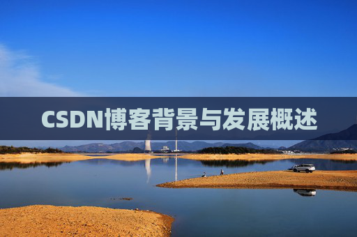CSDN博客背景与发展概述